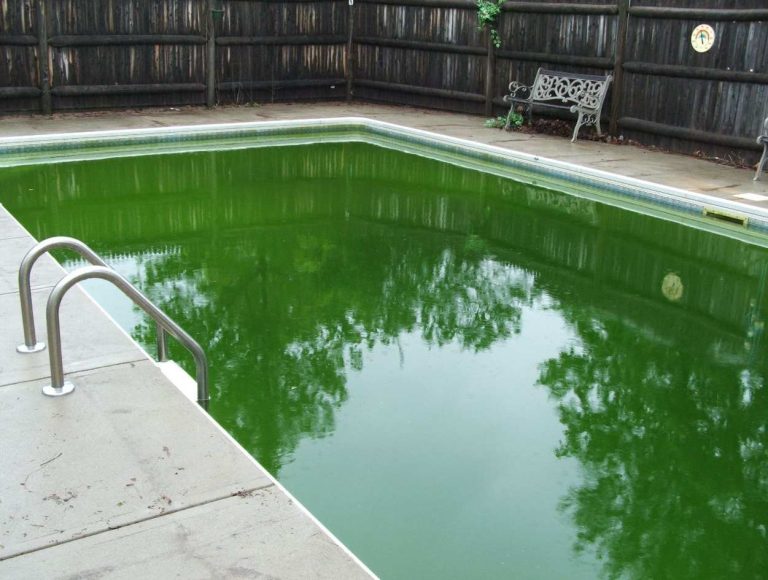 Como quitar alga piscinas