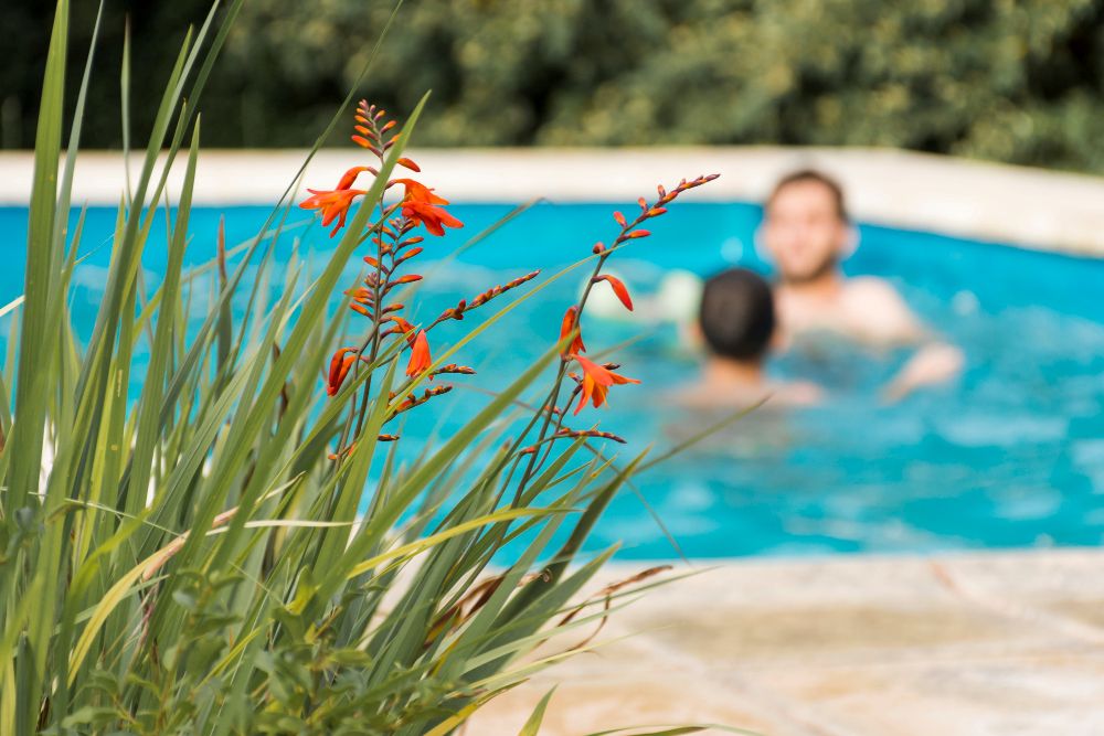 personas disfrutando de la piscina con vegetacion con pulgas de agua al lado